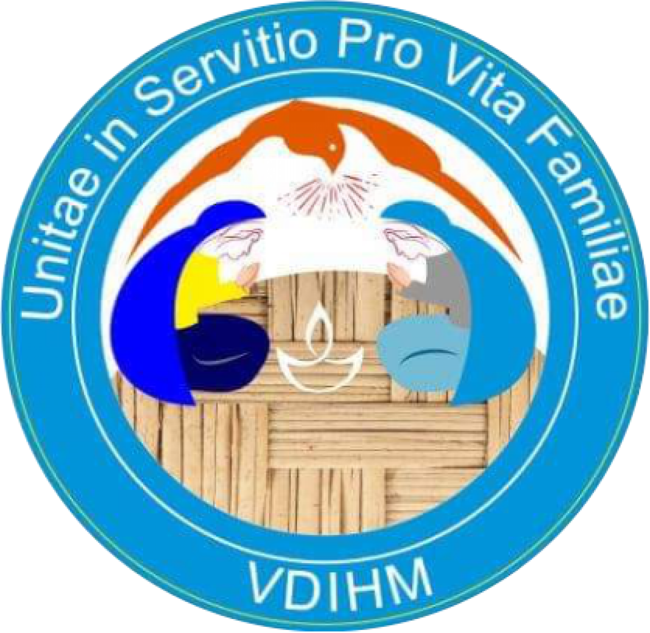 VDM Logo2